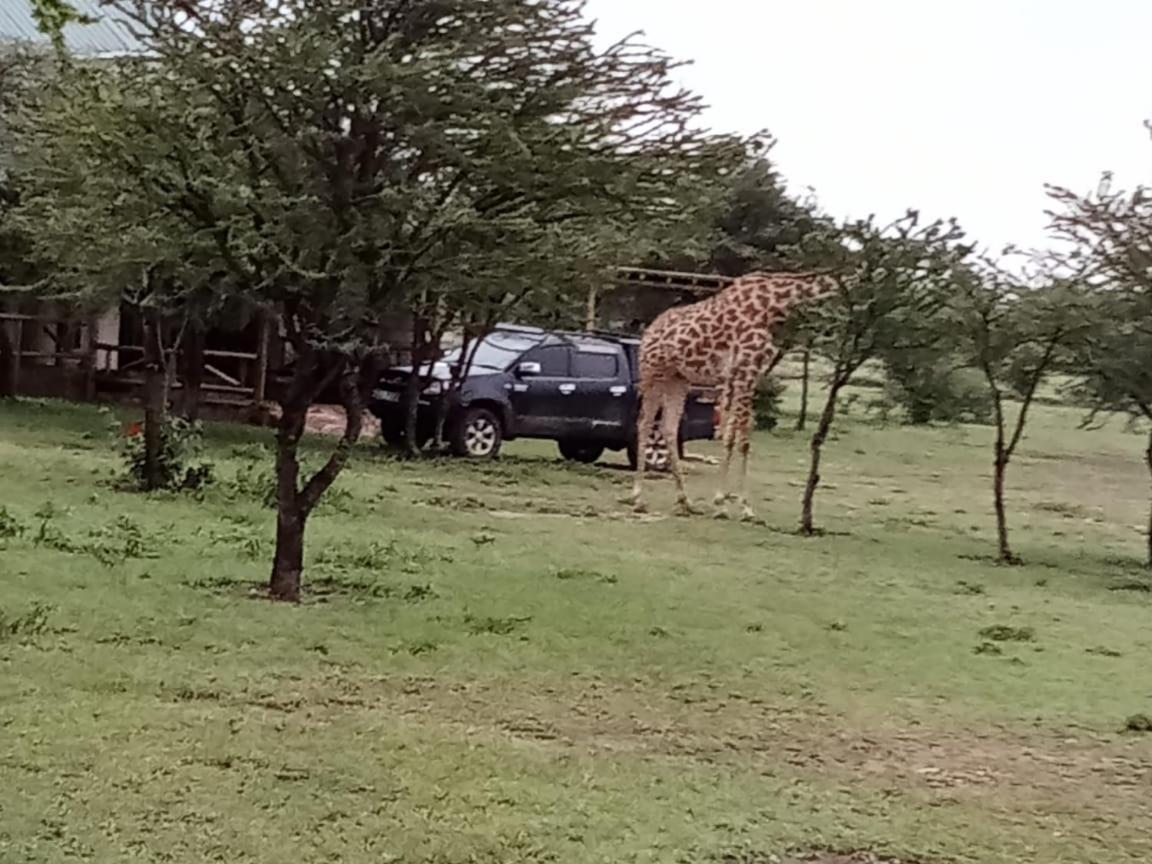 Narasha Homestay - Maasai Mara Talek Ngoại thất bức ảnh