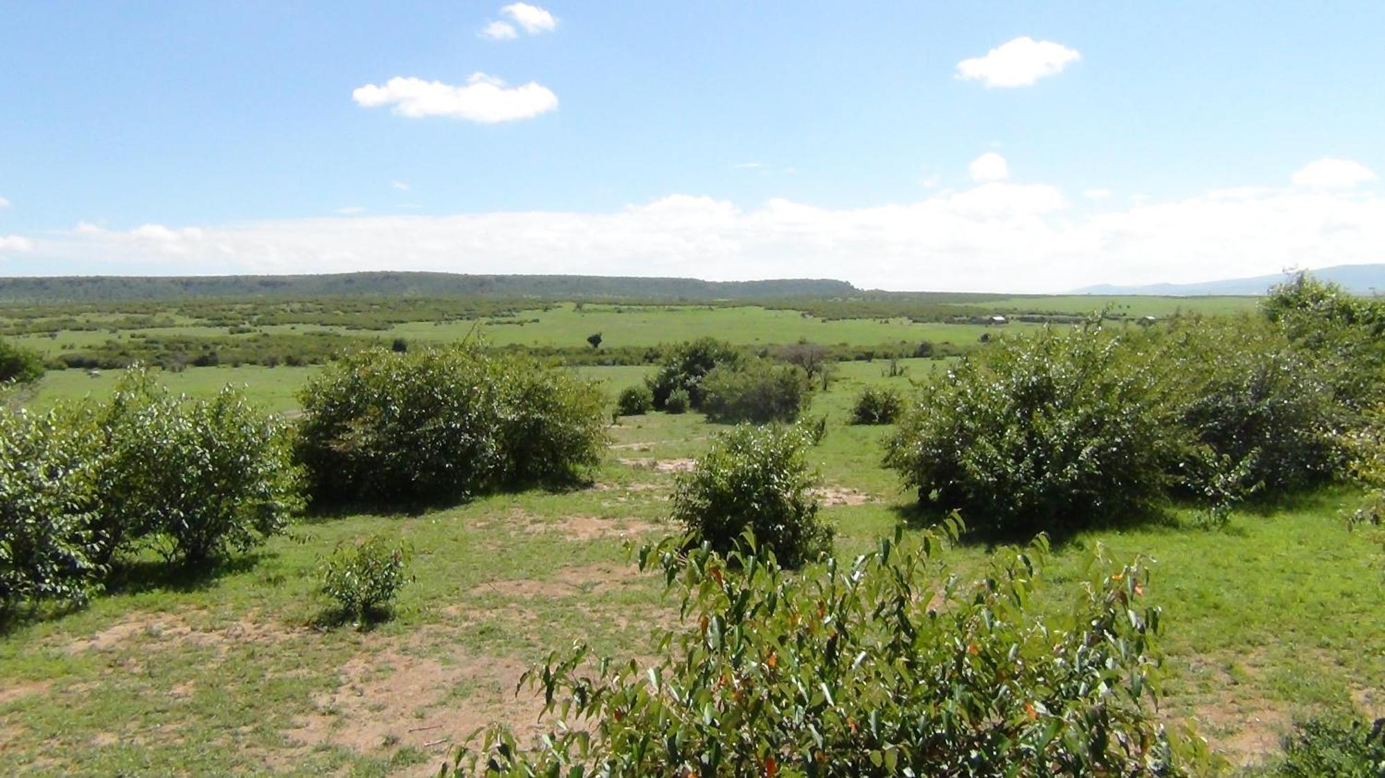 Narasha Homestay - Maasai Mara Talek Phòng bức ảnh