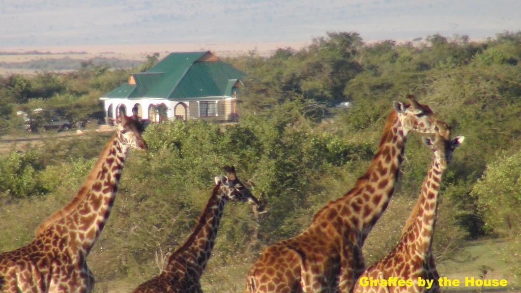 Narasha Homestay - Maasai Mara Talek Ngoại thất bức ảnh