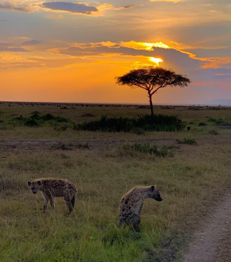 Narasha Homestay - Maasai Mara Talek Ngoại thất bức ảnh